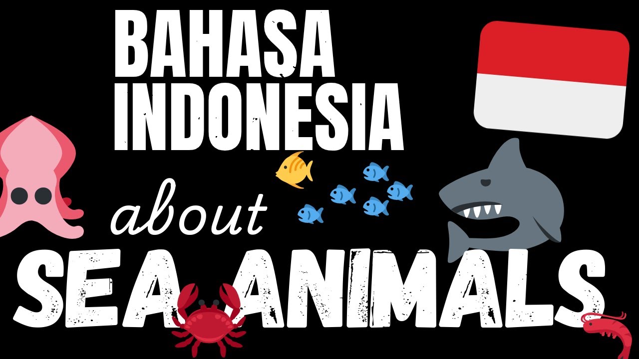 200 B1 Bahasa Indonesia sentences - Marine Animals | Learn Intermediate Bahasa Indonesia vocabulary