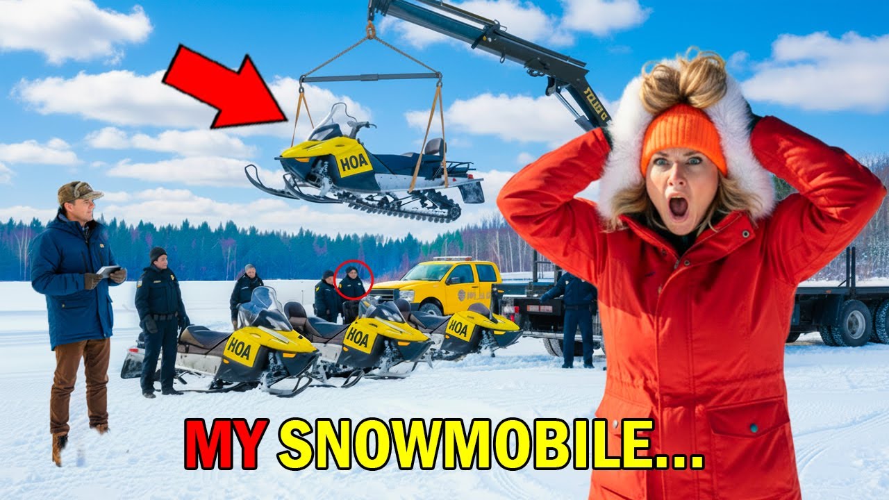 Karen tore through my land on a snowmobile, destroying my father’s pine forest — and she paid dearly