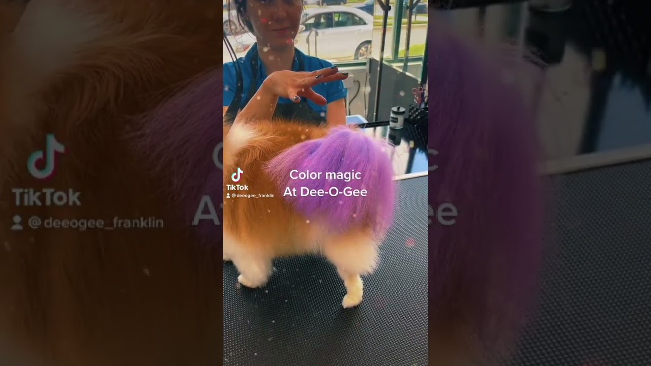 Color Magic at Dee-O-Gee