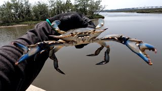 Adventurous Day Catching Blue Crabs!!! Crabbing In Florida!!! Visiting 4 Different Locations!!!