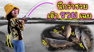 ใหญ่ทุกตัว ‼ สายเล็ก 🆚 ปลาใหญ่ อะไรจะเกิดขึ้น ?