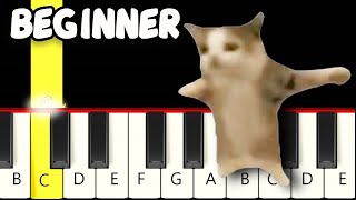 a REAL CAT sings Happy Happy Cat Meme  - Fast and Slow (Easy) Piano Tutorial - Beginner