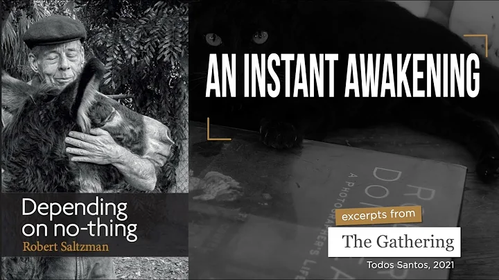 An Instant Awakening--with Robert Saltzman