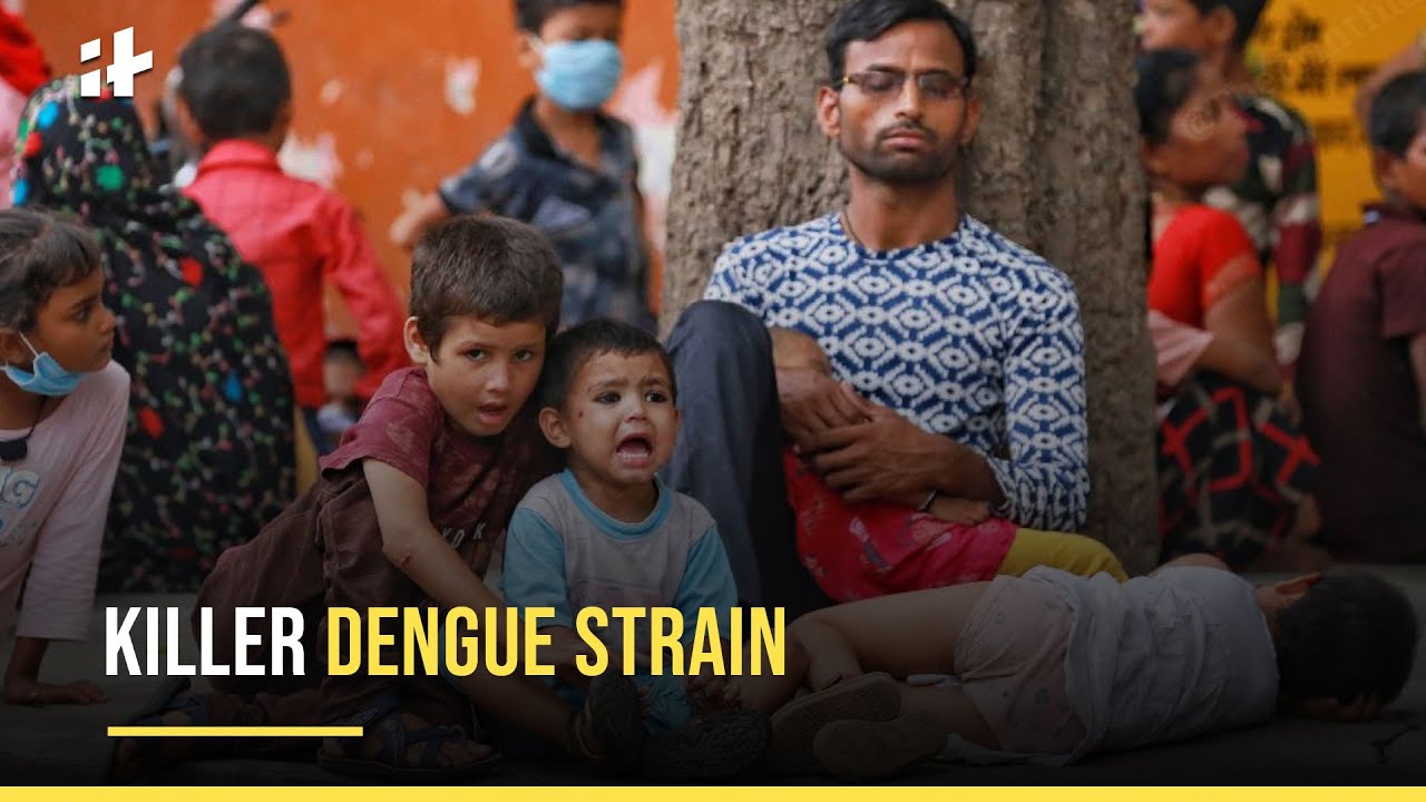 ⁣Dengue: All You Need To Know About D2 Strain Of Dengue