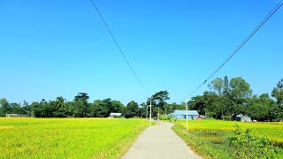 Natural Village Life In Chatok.দখ আসন এক নজর ছতকর গরমগল খব সনদর দশয সলট ছতক
