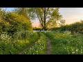 romanticizing a quiet life in the countryside 🍀 (a relaxing playlist for reading, writing, studying)