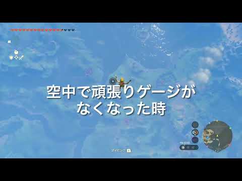 空中で頑張りゲージがなくなった時　初心者と上級者の違い【ゼルダの伝説】【ティアキン】【神技】