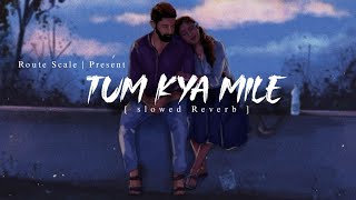 Tum Kya Mile Slowed Reverb Arijit Singh, Shreya Ghoshal