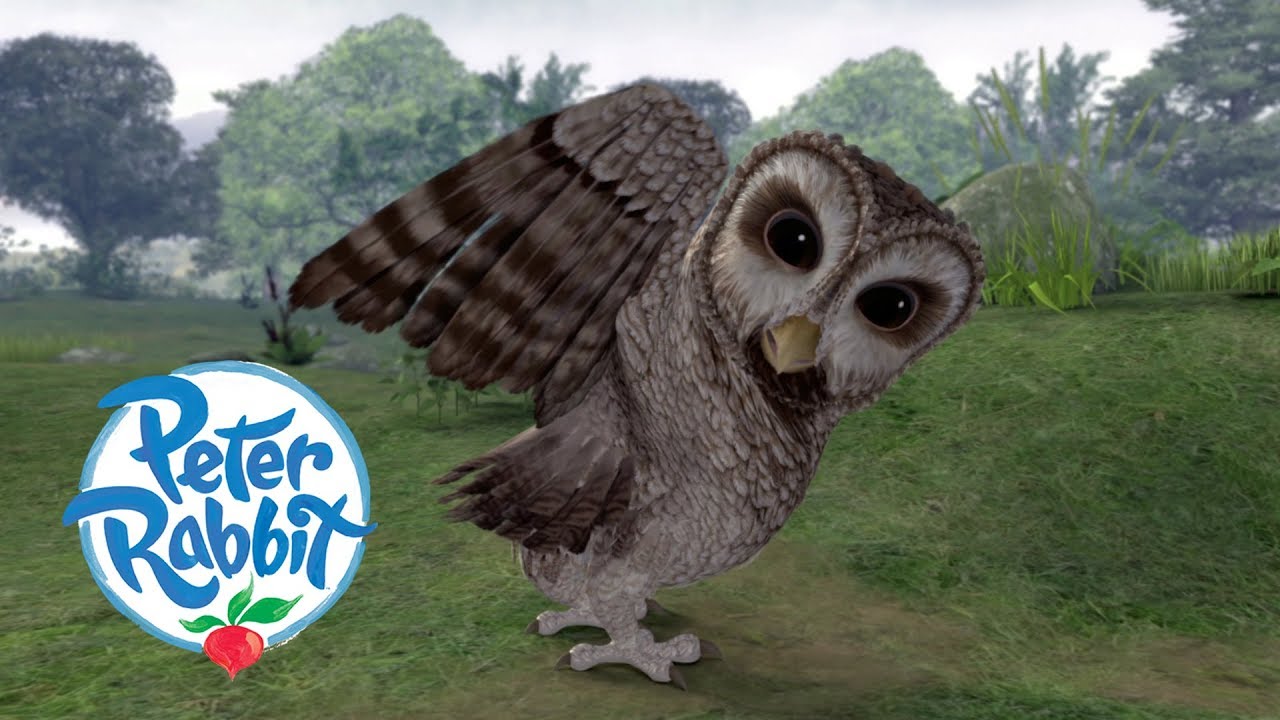 Peter Rabbit - The Curse of the Sticky Bun | Cartoons for Kids - YouTube