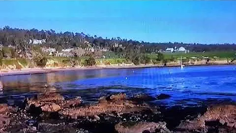 Your minute of zen with Gary McCord and a monkey