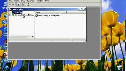 Hướng dẫn cài đặt, cấu hình VPN trên Windows Server 2003- Bước 6 (Step 6)