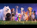 Learn Counting with Dogs from 1 to 10 🐶 | Fun Learning Video for Kids
