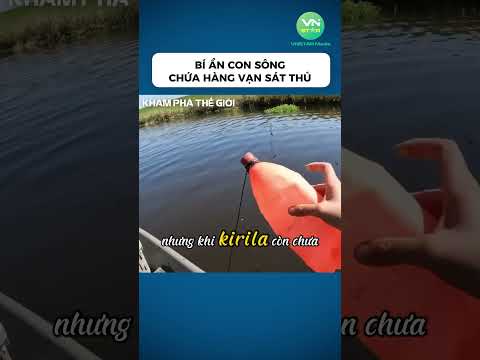 Bí ẩn con sông chứa hàng vạn sát thủ #fishing