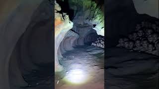 Whos Watching From The Shadows?