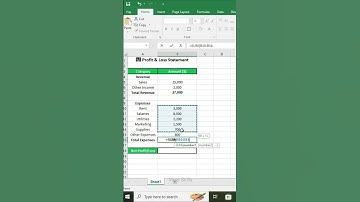 Profit & Loss Statement in Excel | track and analyze your business finances