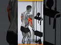 تمارين الترايسبس My Muscles Triceps عضلاتي Shorts Workout Gym My Muscles عضلاتي Fitness 