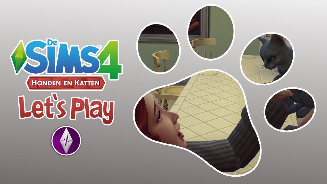 Twee nieuwe kittens! 🐾 Let's Play De Sims 4 Honden en Katten Deel 5 YouTube