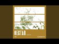 Nectar radio edit