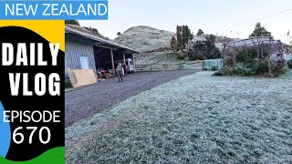 The first hard autumn frost [Life in New Zealand Daily Vlog #670] by Real New Zealand Adventures 917 views 3 weeks ago 11 minutes, 21 seconds