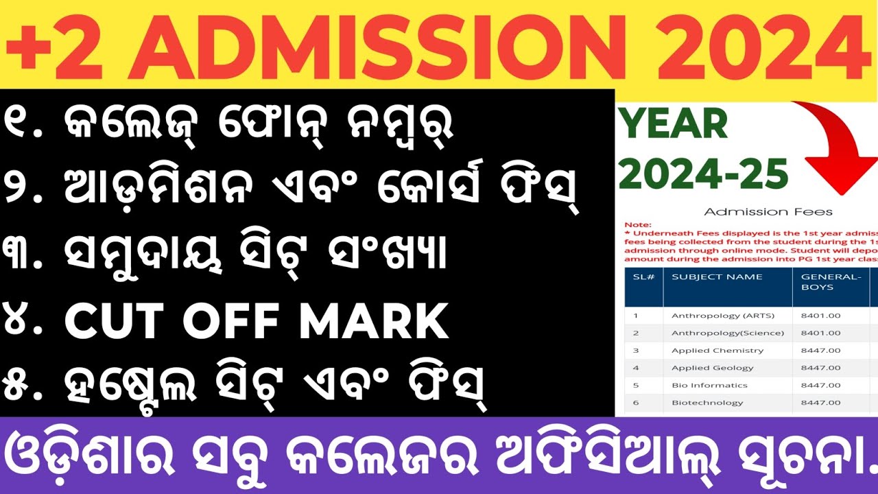 +2 admission 2024 | +2 admission fees 2024 | +2 first selection 2024 | +2 cut off mark 2024 |