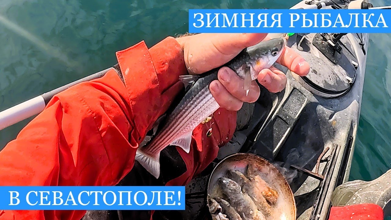 Крымская рыбалка ЗИМОЙ!! - Про мазут, рыбу и январскую ЖАРУ - бухта Стрелецкая, Севастополь!!