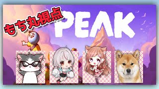 【PEAKコラボ】PEAKコラボ！！まだ見ぬ山頂を目指して！！🐶【茶柴もち丸】