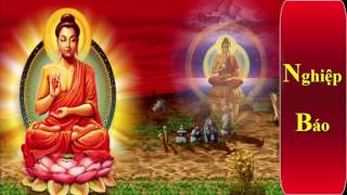 Nghiệp Báo - phật tử tại gia cần nghe để tránh khỏi nghiệp báo