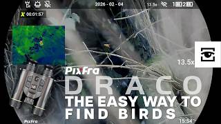 Pixfra Draco: The easy way to find birds