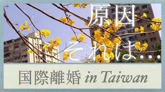 国際離婚 Youtube 国際離婚 Youtube
