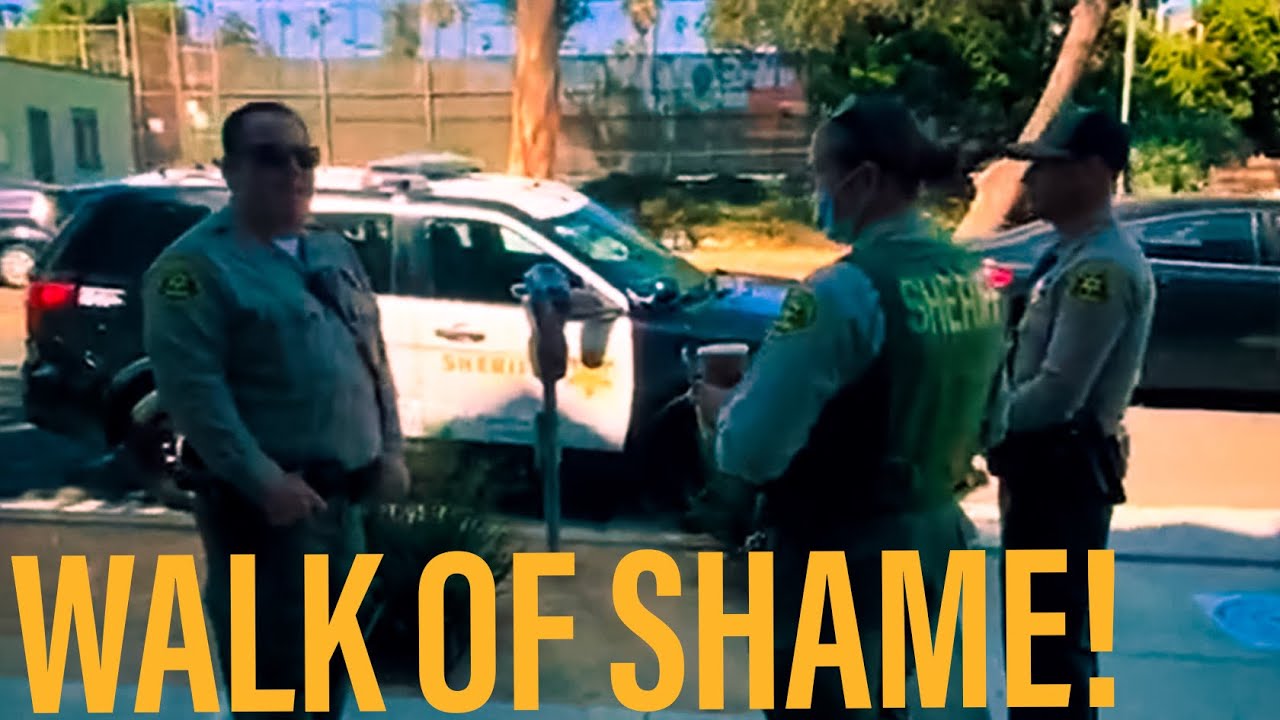 Working Hard or Hardly Working? Epic Walk of shame