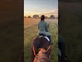 Sunrise Horse Ride Girl and Nature in Harmony