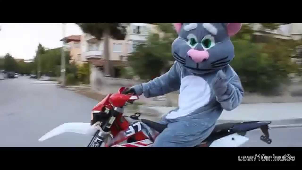 Talking Tom and Friends Real Life Compilation Talking Cat Fun Life