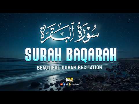 SURAH AL-BAQARAH (FULL) | سورة البقرة | Listen Now | Quran Recitation for Peace & Barakah