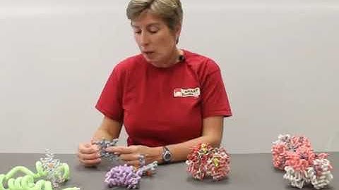 Hemoglobin Structure Function Summary