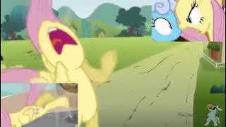 New Fluttershy Has A SPARTA EXTENDED REMIX