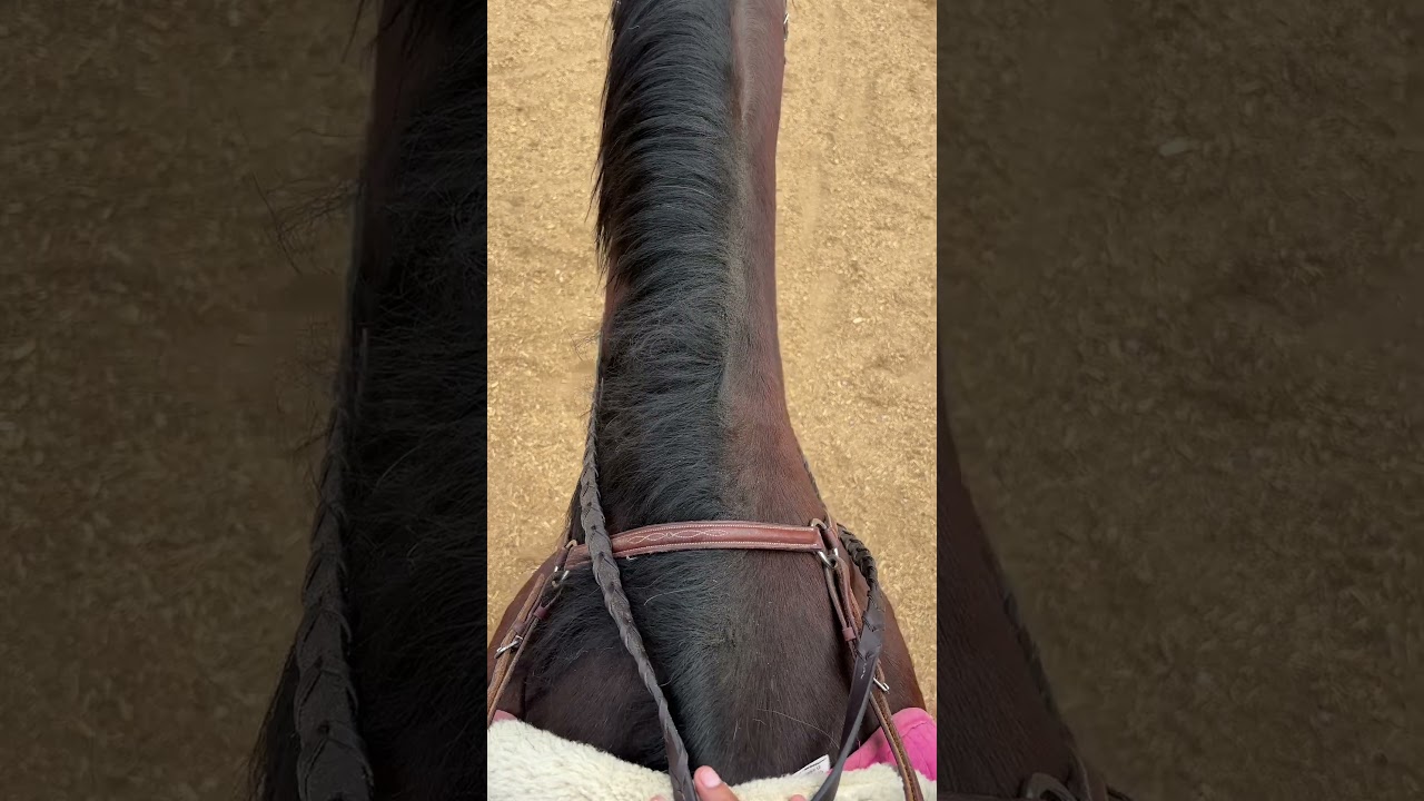 My First English Ride… Just Not Moving Yet! 