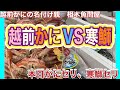 『越前かにVS寒鰤！カニブリーキングダウン！？』令和6年12月12日の激安魚屋@福井県敦賀市相木魚問屋