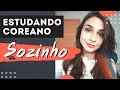 COMO ESTUDAR COREANO SOZINHO