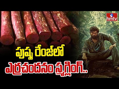 అన్నమయ్య జిల్లాలో పుష్ప రేంజ్ లో ఎర్రచందనం స్మగ్లింగ్.. | hmtv - HMTVNEWS