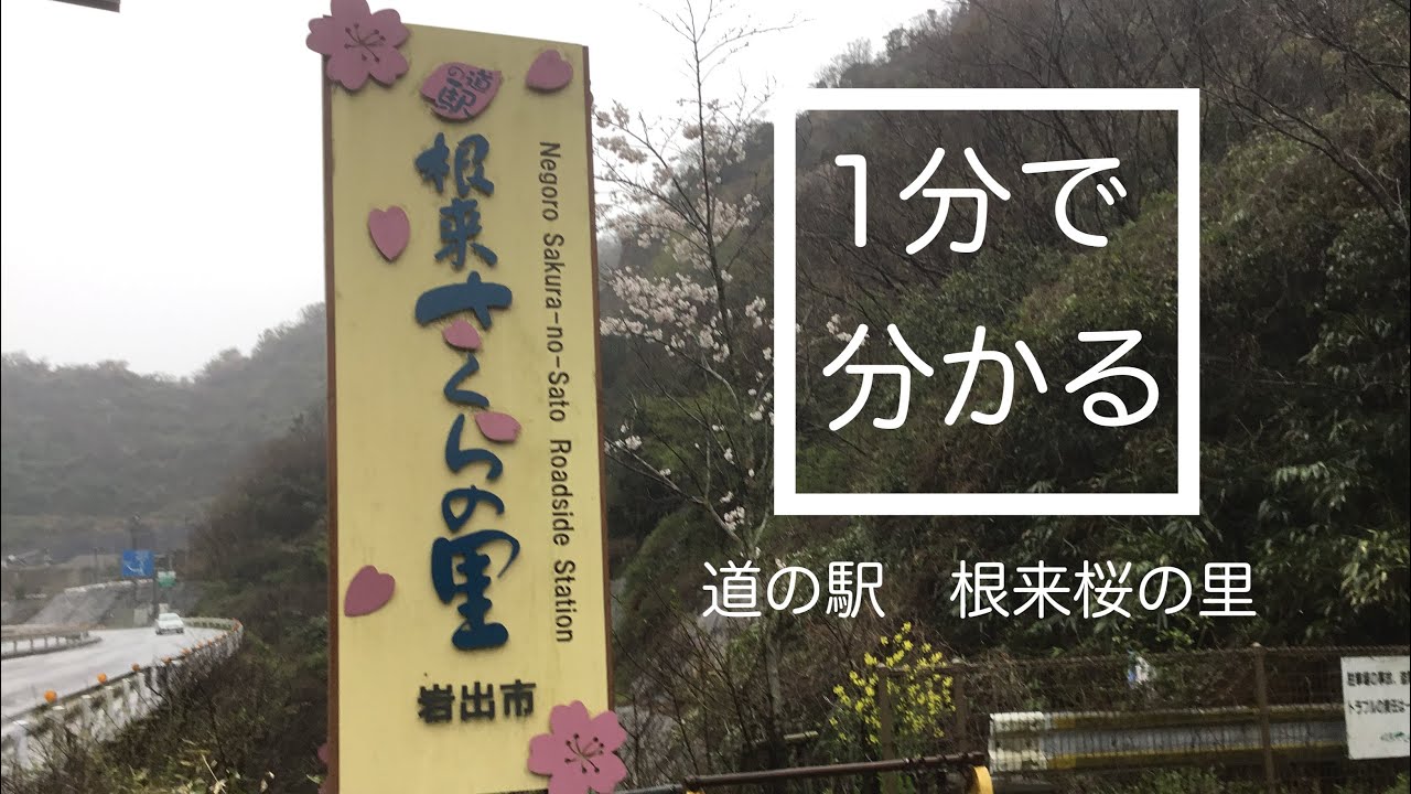 道の駅 根来さくらの里 車中泊 和歌山県 岩出市 1分で分かる お風呂 温泉 買い物 野宿 無料キャンプ場 9 Youtube