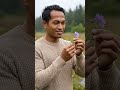 This Quiet Nature Moment Feels So Peaceful 🌿  #shorts #youtubeshorts #viralshorts #fyp #trending