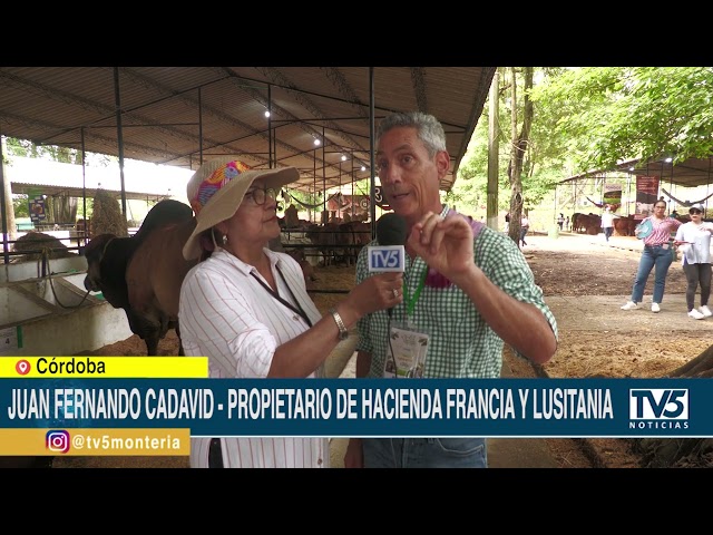 11 Fincas ganaderas en Córdoba recibieron el sello ambiental Colombiano