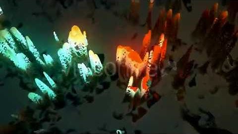 Deep Sea Vj Loops Pack 3 || Videohive After Effects Templates