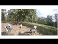 Bad Day Hunting...( Goat Attack )