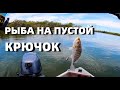 НА ПУСТЫЕ КРЮЧКИ, НАЖИВКА НЕ НУЖНА... YAMAHA РУЛИТ.