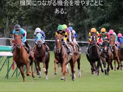 危険！カジノ法案！ギャンブル依存症に注意！