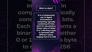 How Bytes Work (and Why They Matter)