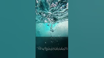 آية الكرسي-القرآن الكريم.      #القرآن_الكريم #subscribe #foryou