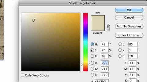 The Black and White Adjustment Layer