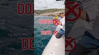 Ya has visto el video completo?